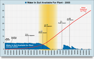 Cotton Plant Water Usage